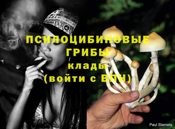 таблы Беломорск