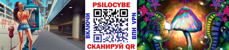 omg ссылки  Елизово  Псилоцибиновые грибы GOLDEN TEACHER 